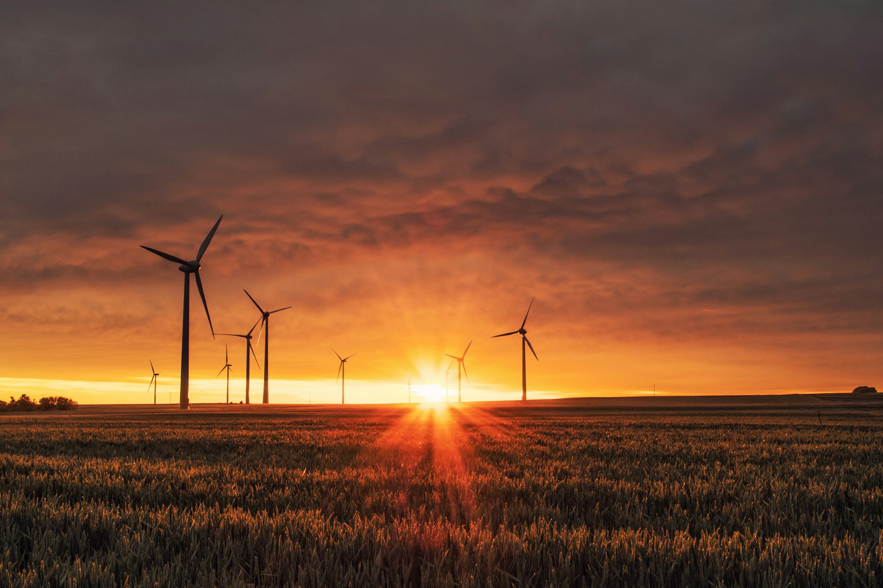 Energy and landscape stewardship